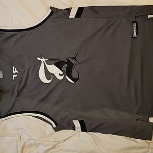 Air Jordan cut off jersey